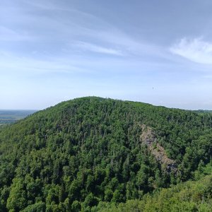 Afternoon Mountain Bike Ride