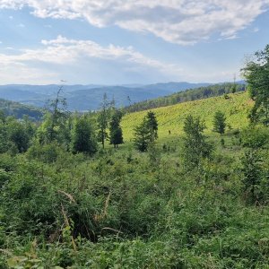 Veľké a Malé Hradisko a Snoh