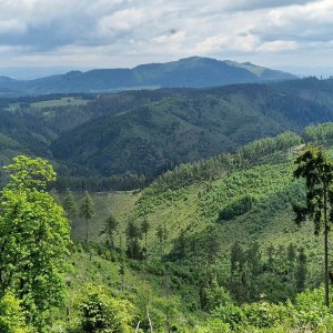Brada, Kimberk, Závrch