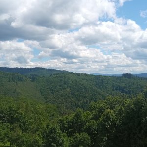 Z Hrádku do Bystřice 