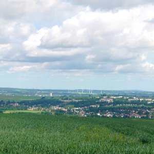 Steinberg & Steinberg (lt)