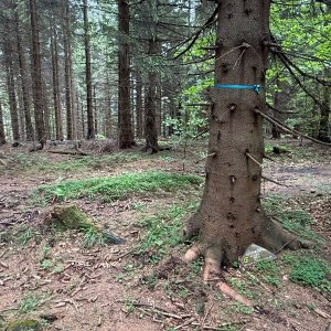 Moravskoslezské Beskydy