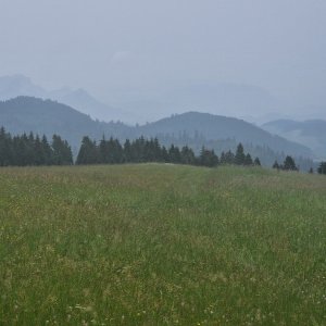 Žiar, Tisovka