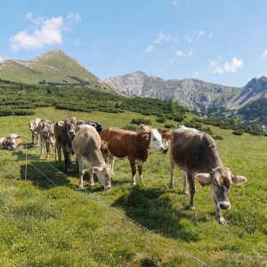 Totes Gebirge - Výstup na Hochmölbing a Pyhrner Kampl