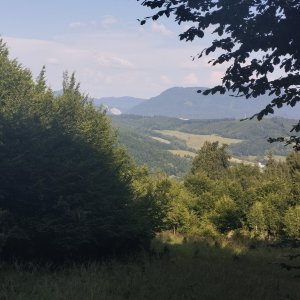 Stavná