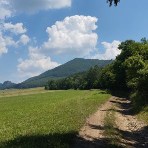 Hoľazne 