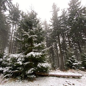 Markéta na vrcholu Lysá hora (25.11.2021 12:50)
