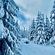 Ivča na vrcholu Lysá hora (22.12.2021)