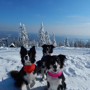 Jan Janiš na vrcholu Lysá hora (1.3.2018 13:37)