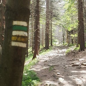 Martin Petřík na vrcholu Lysá hora (7.6.2022 12:07)