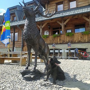 Ivana Urbánková na vrcholu Lysá hora (9.8.2022 13:59)