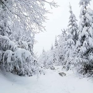 Su Mischelle na vrcholu Lysá hora (27.12.2019 8:30)