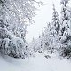 Su Mischelle na vrcholu Lysá hora (27.12.2019 8:30)