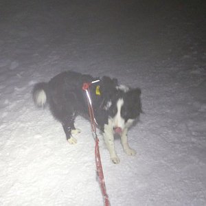 Gabriela Schellnerová na vrcholu Lysá hora (17.1.2018 16:27)