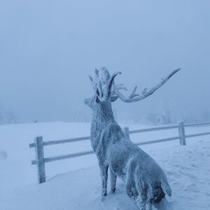 daja.cz na vrcholu Lysá hora (14.1.2024 15:59)