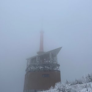 Vrbi on the summit of Lysá hora (25.1.2025 10:59)
