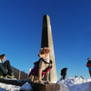 Michal Tomko on the summit of Lysá hora (1.12.2024 16:45)