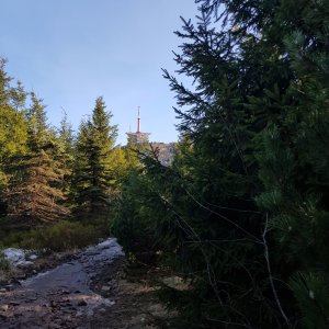 Folle on the summit of Lysá hora (12.4.2025 17:55)