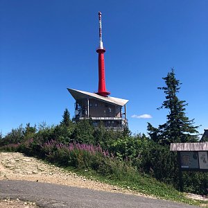 Ivča on the summit of Lysá hora (21.8.2020 12:00)
