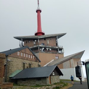 Panda toulavá on the summit of Lysá hora (22.8.2025 10:59)