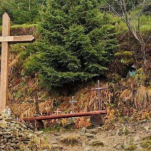 Šárka na vrcholu Lysá hora (15.11.2020 15:02)