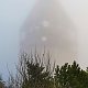 Šárka na vrcholu Lysá hora (15.11.2020 15:02)