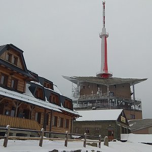 Gabča na vrcholu Lysá hora (2.2.2018 14:49)
