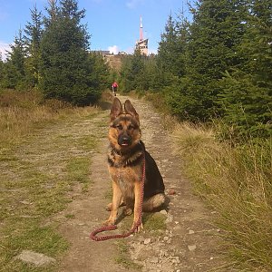 Gabča na vrcholu Lysá hora (9.9.2018 11:14)