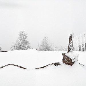Zuzka Brožková na vrcholu Lysá hora (30.1.2021 12:59)
