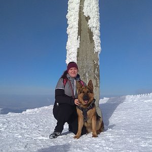 Gabča na vrcholu Lysá hora (30.1.2019 11:47)