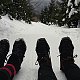 Adel Klimešová na vrcholu Lysá hora (1.2.2019 11:10)