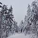Adel Klimešová na vrcholu Lysá hora (1.2.2019 11:10)