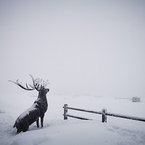 Lukáš Plánička na vrcholu Lysá hora (19.2.2021 17:05)
