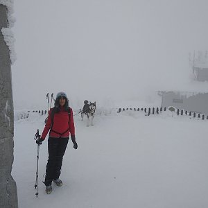 Jana Mayerová na vrcholu Lysá hora (26.1.2019 10:44)