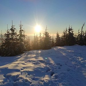 Lenička na vrcholu Lysá hora (4.1.2021 10:45)