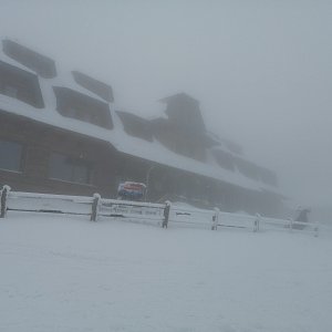 Krvelačné ňuf na vrcholu Lysá hora (16.4.2021 16:48)