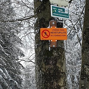 Peťulik na vrcholu Tanečnice (5.2.2022 14:11)