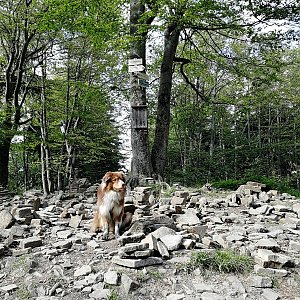 Karolína Ježovičová na vrcholu Tanečnice (15.7.2020 16:50)