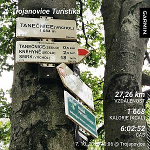 Medvěd Codiak na vrcholu Tanečnice (7.10.2020 12:25)