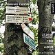 Medvěd Codiak na vrcholu Tanečnice (7.10.2020 12:25)
