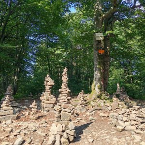 Šárka na vrcholu Tanečnice (6.8.2026 15:38)