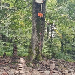 Ivo na vrcholu Tanečnice (15.9.2026 9:52)