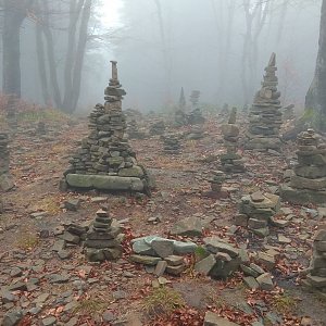 Gabča na vrcholu Tanečnice (3.11.2018 12:30)
