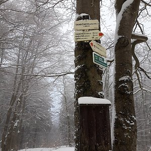 Lenka Pojslová na vrcholu Tanečnice (24.1.2021)