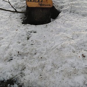 Gabriela Sikorová na vrcholu Tanečnice (23.2.2021 11:49)