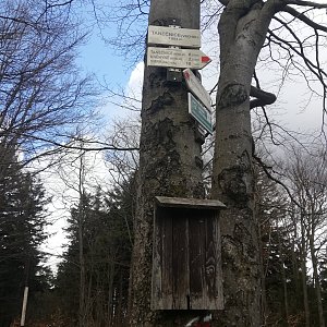 Kačička na vrcholu Tanečnice (8.5.2021 10:04)