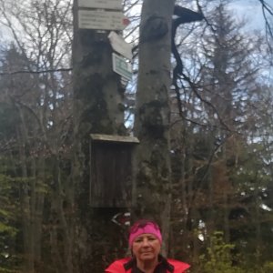 Nuny na vrcholu Tanečnice (31.5.2021 13:43)