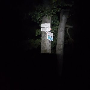 Dřevák na vrcholu Tanečnice (17.7.2021 23:55)
