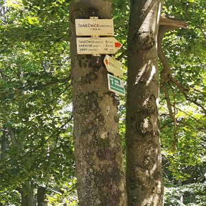 kaltz na vrcholu Tanečnice (29.7.2021 11:32)