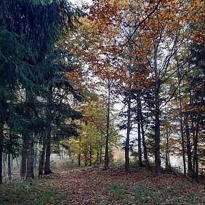 ZdenkaV na vrcholu Planinská Kyčera (13.10.2022 15:07)